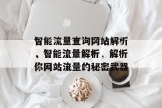 智能流量查询网站解析,智能流量解析,解析你网站流量的秘密武器 智能流量查询网站解析,智能流量解析,解析你网站流量的秘密武器