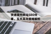 快速提升网站SEO效果,五大高效策略解析 快速提升网站SEO效果,五大高效策略解析
