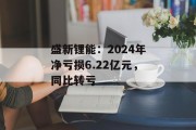 盛新锂能:2024年净亏损6.22亿元,同比转亏 盛新锂能:2024年净亏损6.22亿元,同比转亏