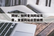 揭秘,如何查询网站流量,掌握网站运营脉搏 揭秘,如何查询网站流量,掌握网站运营脉搏