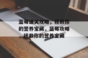 蓝莓通关攻略,拯救你的营养宝藏,蓝莓攻略,拯救你的营养宝藏 蓝莓通关攻略,拯救你的营养宝藏,蓝莓攻略,拯救你的营养宝藏