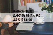 Hallador能源盘中异动 股价大跌5.16%报12.69美元 Hallador能源盘中异动 股价大跌5.16%报12.69美元