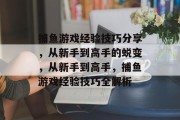 捕鱼游戏经验技巧分享,从新手到高手的蜕变,从新手到高手,捕鱼游戏经验技巧全解析 捕鱼游戏经验技巧分享,从新手到高手的蜕变,从新手到高手,捕鱼游戏经验技巧全解析