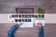 如何高效监控网站流量，策略与实践