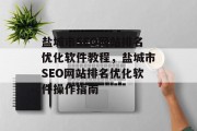 盐城市SEO网站排名优化软件教程,盐城市SEO网站排名优化软件操作指南 盐城市SEO网站排名优化软件教程,盐城市SEO网站排名优化软件操作指南