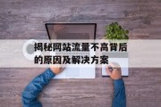 揭秘网站流量不高背后的原因及解决方案 揭秘网站流量不高背后的原因及解决方案