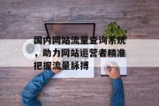 国内网站流量查询系统,助力网站运营者精准把握流量脉搏 国内网站流量查询系统,助力网站运营者精准把握流量脉搏