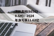 沐邦高科(603398.SH):2024年净亏损11.62亿元 沐邦高科(603398.SH):2024年净亏损11.62亿元