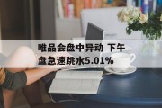 唯品会盘中异动 下午盘急速跳水5.01% 唯品会盘中异动 下午盘急速跳水5.01%