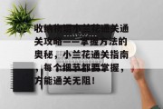 收纳物语小兰花通关通关攻略——掌握方法的奥秘,小兰花通关指南,每个细节都要掌握,方能通关无阻! 收纳物语小兰花通关通关攻略——掌握方法的奥秘,小兰花通关指南,每个细节都要掌握,方能通关无阻!