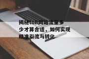 揭秘toB网站流量多少才算合适,如何实现精准引流与转化 揭秘toB网站流量多少才算合适,如何实现精准引流与转化