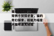 猫通关攻略 - 你的宠物小侦探必备,猫的奇幻探索,超能力喵星人猫咪通关秘籍 猫通关攻略 - 你的宠物小侦探必备,猫的奇幻探索,超能力喵星人猫咪通关秘籍