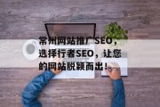 常州网站推广SEO，选择行者SEO，让您的网站脱颖而出！