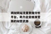 揭秘网站流量数据分析平台,助力企业精准营销的秘密武器 揭秘网站流量数据分析平台,助力企业精准营销的秘密武器