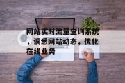 网站实时流量查询系统,洞悉网站动态,优化在线业务 网站实时流量查询系统,洞悉网站动态,优化在线业务