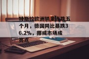 特斯拉欧洲销量连跌五个月，德国同比暴跌36.2%，挪威市场成亮点
