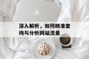 深入解析,如何精准查询与分析网站流量 深入解析,如何精准查询与分析网站流量