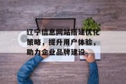 辽宁信息网站搭建优化策略，提升用户体验，助力企业品牌建设