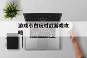 游戏小白玩对战游戏攻略 游戏小白玩对战游戏攻略