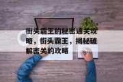街头霸王的秘密通关攻略,街头霸王,揭秘破解密关的攻略