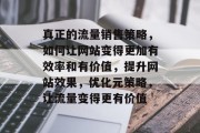 真正的流量销售策略,如何让网站变得更加有效率和有价值,提升网站效果,优化元策略,让流量变得更有价值 真正的流量销售策略,如何让网站变得更加有效率和有价值,提升网站效果,优化元策略,让流量变得更有价值
