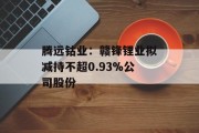 腾远钴业：赣锋锂业拟减持不超0.93%公司股份