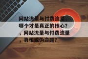 网站流量与付费流量,哪个才是真正的核心?,网站流量与付费流量,真相或伪命题? 网站流量与付费流量,哪个才是真正的核心?,网站流量与付费流量,真相或伪命题?