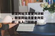 联盟网站流量查询详解，联盟网站流量查询实战，从入门到精通