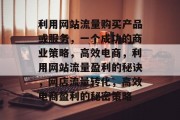 利用网站流量购买产品或服务,一个成功的商业策略,高效电商,利用网站流量盈利的秘诀,网店流量转化,高效电商盈利的秘密策略 利用网站流量购买产品或服务,一个成功的商业策略,高效电商,利用网站流量盈利的秘诀,网店流量转化,高效电商盈利的秘密策略