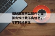 揭秘屏蔽网站插件，如何有效拦截不良信息，守护网络安全