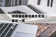 特朗普哈里斯展开竞选最后一搏