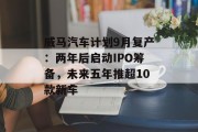 威马汽车计划9月复产:两年后启动IPO筹备,未来五年推超10款新车 威马汽车计划9月复产:两年后启动IPO筹备,未来五年推超10款新车