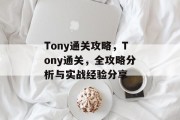 Tony通关攻略，Tony通关，全攻略分析与实战经验分享
