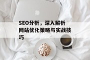 SEO分析,深入解析网站优化策略与实战技巧 SEO分析,深入解析网站优化策略与实战技巧