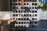 三国乱世,群雄并立,史无前例。其中,曹魏、蜀汉、吴国三位主角,以各自的实力与策略,演绎了人类历史上的一个个精彩故事。他们不仅是强者的代表,更是正义的象征,三国三国,群雄争霸