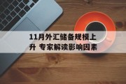 11月外汇储备规模上升 专家解读影响因素 11月外汇储备规模上升 专家解读影响因素