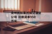 贵州民航集团成立酒业公司 注册资本950万元 贵州民航集团成立酒业公司 注册资本950万元