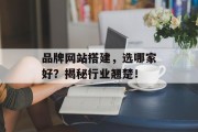 品牌网站搭建,选哪家好?揭秘行业翘楚! 品牌网站搭建,选哪家好?揭秘行业翘楚!
