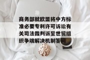 商务部就欧盟将中方标准必要专利许可诉讼有关司法裁判诉至世贸组织争端解决机制答问