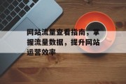 网站流量查看指南,掌握流量数据,提升网站运营效率 网站流量查看指南,掌握流量数据,提升网站运营效率