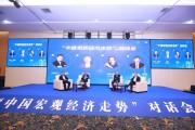 中改院举办“中国宏观经济走势”对话会 中改院举办“中国宏观经济走势”对话会