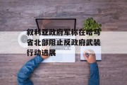 叙利亚政府军称在哈马省北部阻止反政府武装行动进展 叙利亚政府军称在哈马省北部阻止反政府武装行动进展
