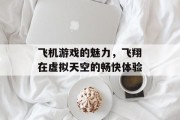 飞机游戏的魅力,飞翔在虚拟天空的畅快体验 飞机游戏的魅力,飞翔在虚拟天空的畅快体验