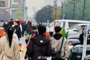 高、低两端细分市场增长迅速,市场期待“以旧换新”政策持续 高、低两端细分市场增长迅速,市场期待“以旧换新”政策持续