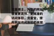 流量博士，为您的网站带来更高效、更精准的访问体验，流量宝，提升网站访问体验的关键策略