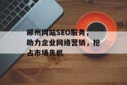 郴州网站SEO服务,助力企业网络营销,抢占市场先机 郴州网站SEO服务,助力企业网络营销,抢占市场先机