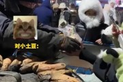 东北“卷王”、开封“王婆”……这些城市“人设”吸引到你了吗? 东北“卷王”、开封“王婆”……这些城市“人设”吸引到你了吗?