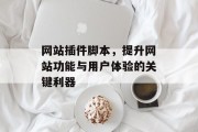 网站插件脚本，提升网站功能与用户体验的关键利器