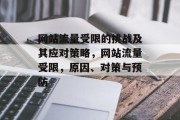 网站流量受限的挑战及其应对策略,网站流量受限,原因、对策与预防 网站流量受限的挑战及其应对策略,网站流量受限,原因、对策与预防