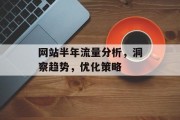 网站半年流量分析,洞察趋势,优化策略 网站半年流量分析,洞察趋势,优化策略